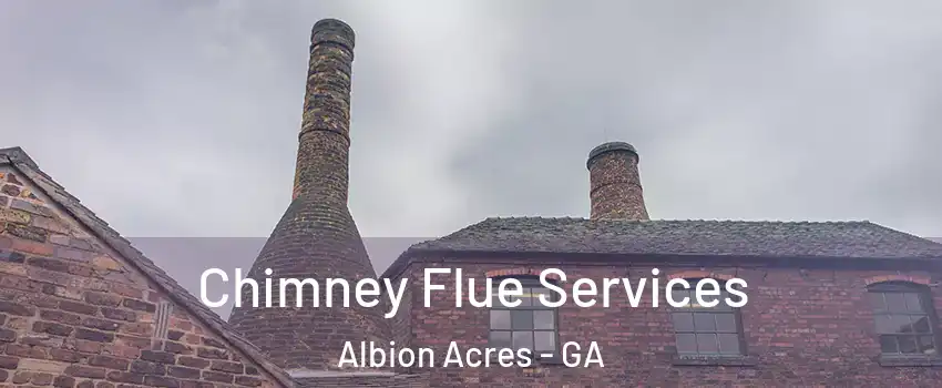 Chimney Flue Services Albion Acres - GA