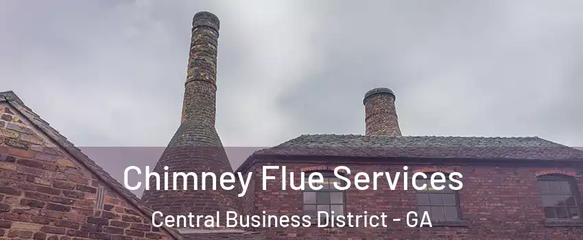 Chimney Flue Services Central Business District - GA