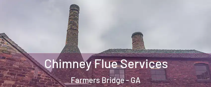 Chimney Flue Services Farmers Bridge - GA
