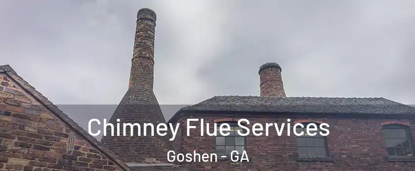 Chimney Flue Services Goshen - GA