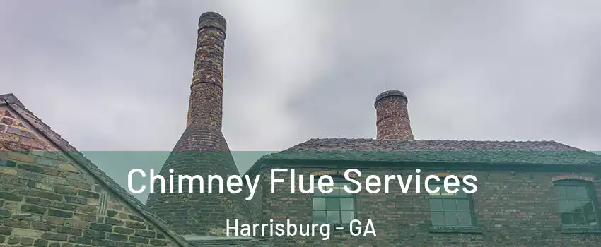 Chimney Flue Services Harrisburg - GA
