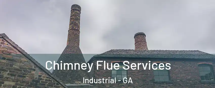 Chimney Flue Services Industrial - GA