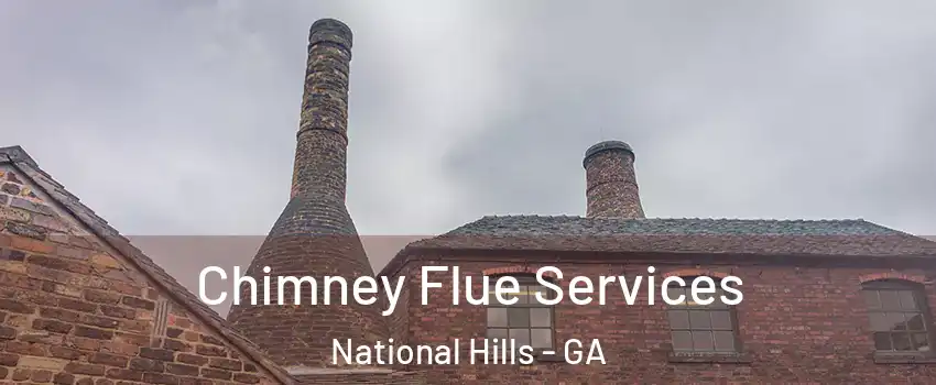 Chimney Flue Services National Hills - GA