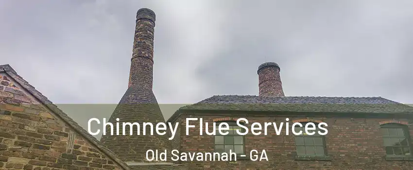 Chimney Flue Services Old Savannah - GA