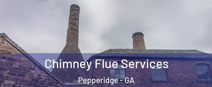 Chimney Flue Services Pepperidge - GA