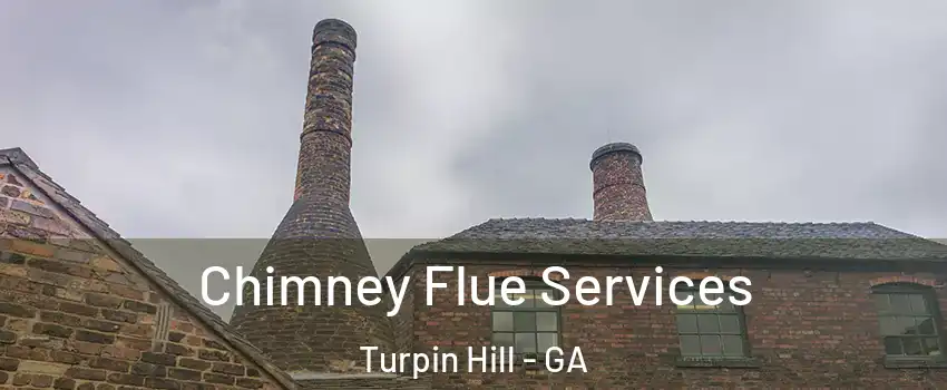 Chimney Flue Services Turpin Hill - GA