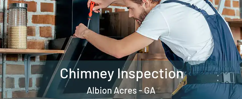 Chimney Inspection Albion Acres - GA