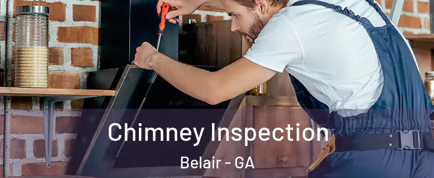 Chimney Inspection Belair - GA