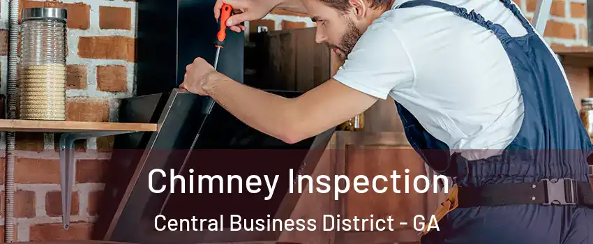 Chimney Inspection Central Business District - GA