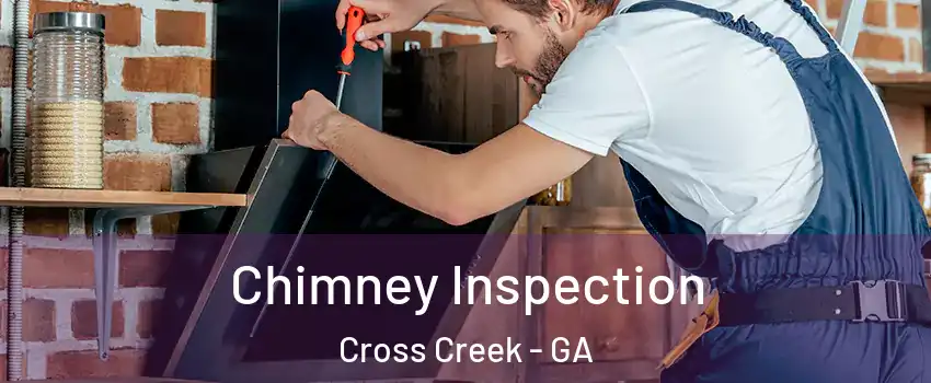 Chimney Inspection Cross Creek - GA