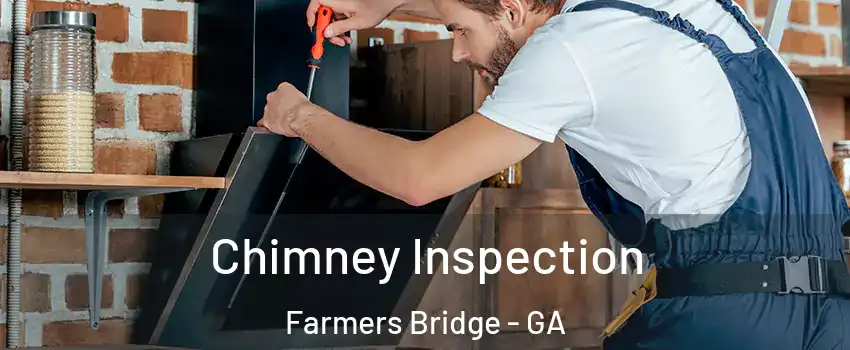 Chimney Inspection Farmers Bridge - GA