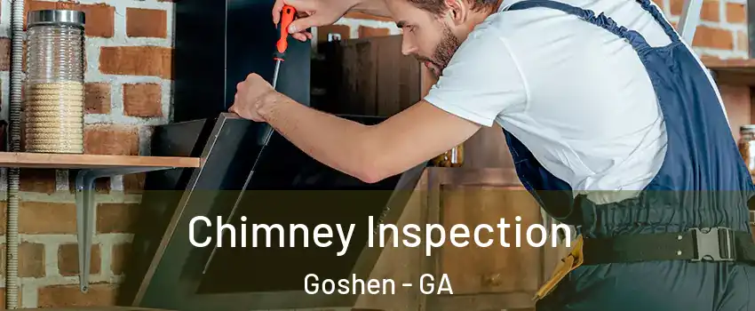 Chimney Inspection Goshen - GA