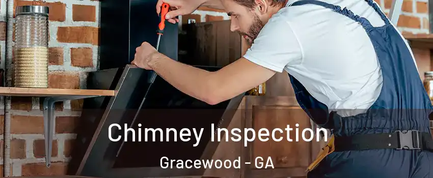Chimney Inspection Gracewood - GA