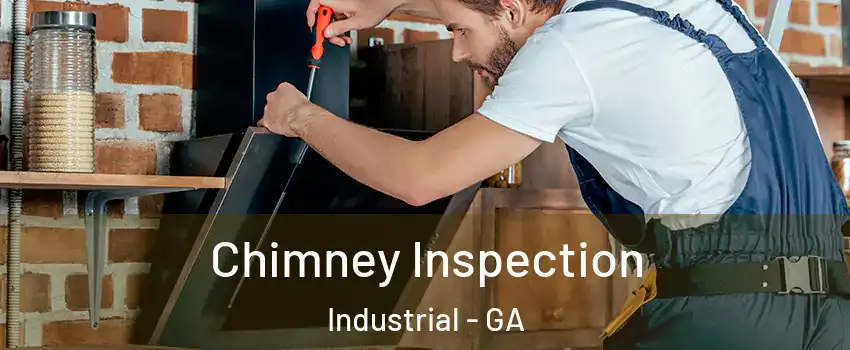 Chimney Inspection Industrial - GA