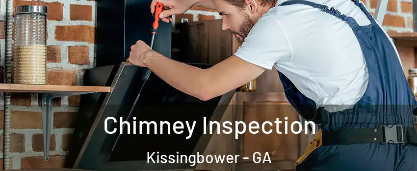 Chimney Inspection Kissingbower - GA