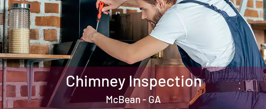 Chimney Inspection McBean - GA
