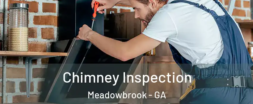 Chimney Inspection Meadowbrook - GA