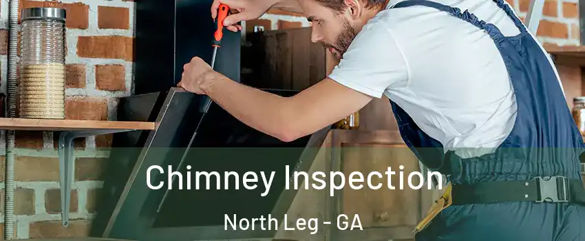 Chimney Inspection North Leg - GA