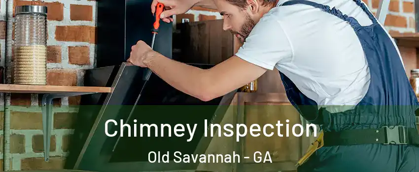 Chimney Inspection Old Savannah - GA