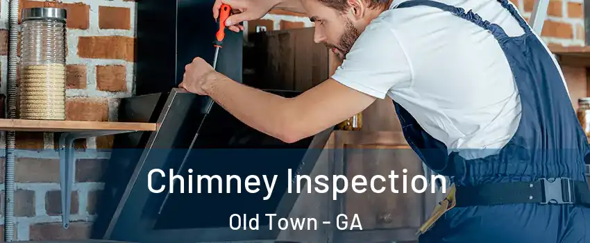 Chimney Inspection Old Town - GA