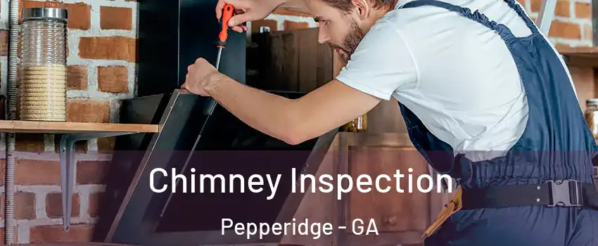 Chimney Inspection Pepperidge - GA