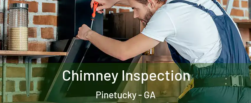 Chimney Inspection Pinetucky - GA