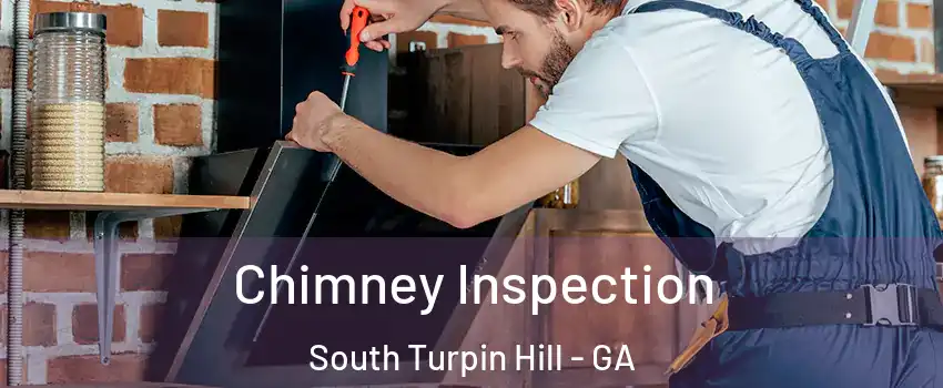 Chimney Inspection South Turpin Hill - GA