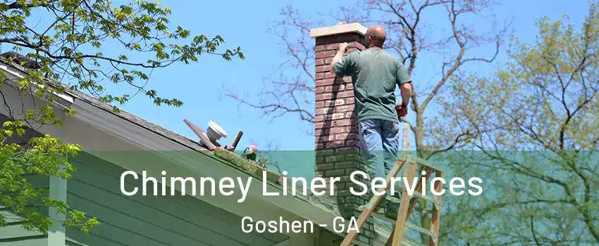Chimney Liner Services Goshen - GA