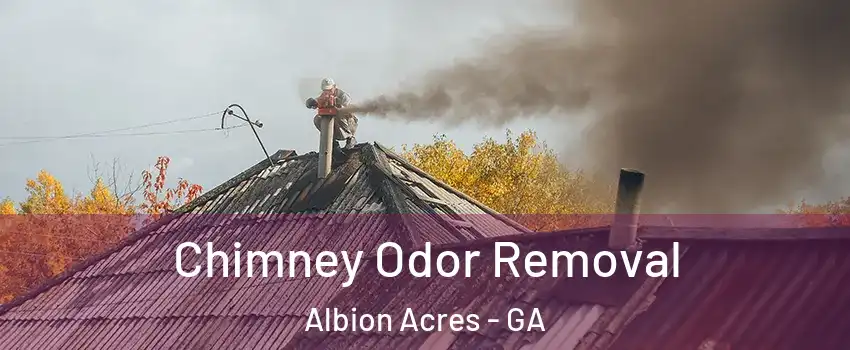 Chimney Odor Removal Albion Acres - GA