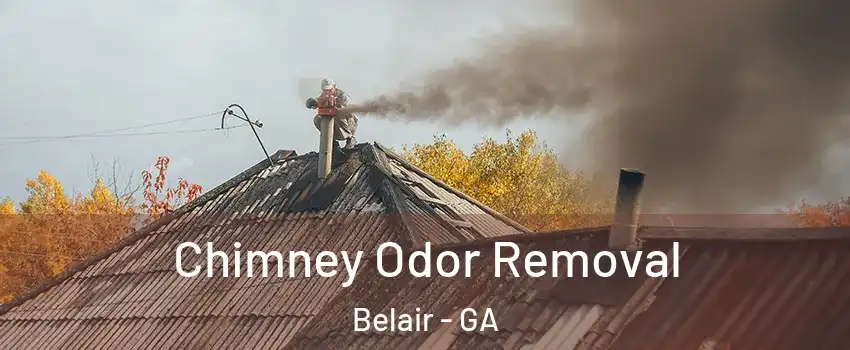 Chimney Odor Removal Belair - GA