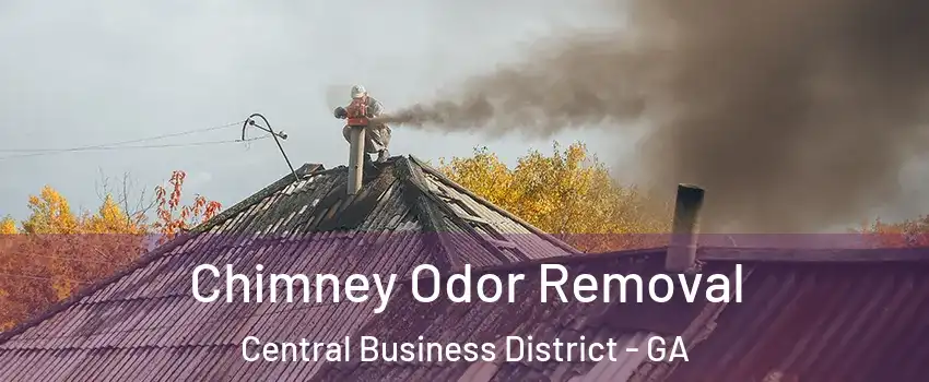 Chimney Odor Removal Central Business District - GA