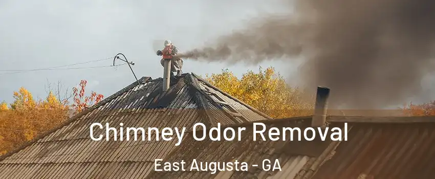 Chimney Odor Removal East Augusta - GA
