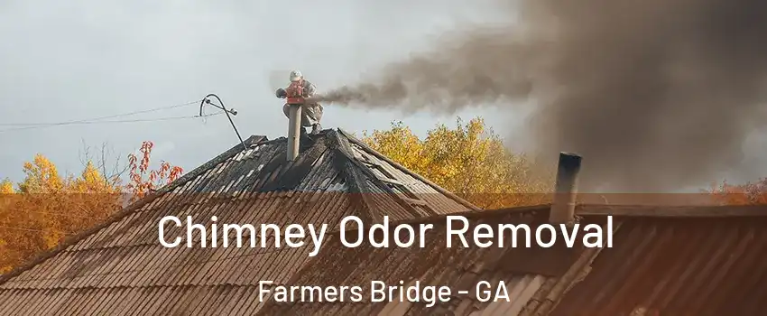 Chimney Odor Removal Farmers Bridge - GA