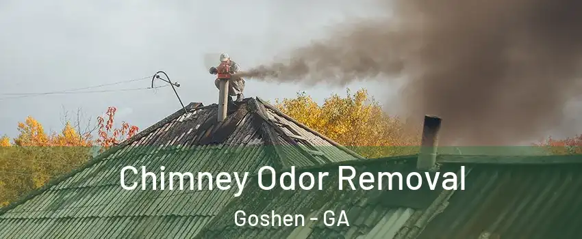 Chimney Odor Removal Goshen - GA