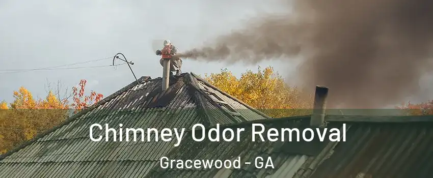 Chimney Odor Removal Gracewood - GA