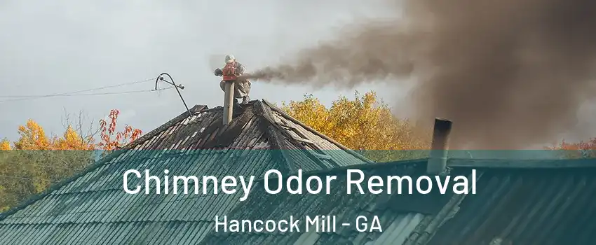 Chimney Odor Removal Hancock Mill - GA
