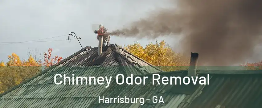 Chimney Odor Removal Harrisburg - GA
