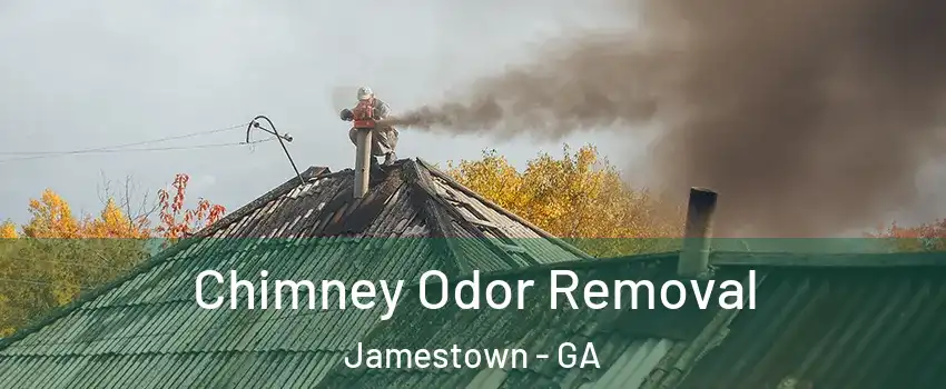 Chimney Odor Removal Jamestown - GA