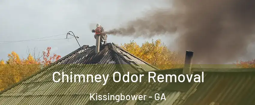 Chimney Odor Removal Kissingbower - GA