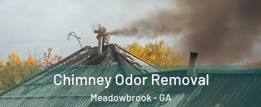 Chimney Odor Removal Meadowbrook - GA