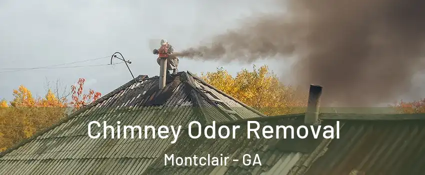Chimney Odor Removal Montclair - GA