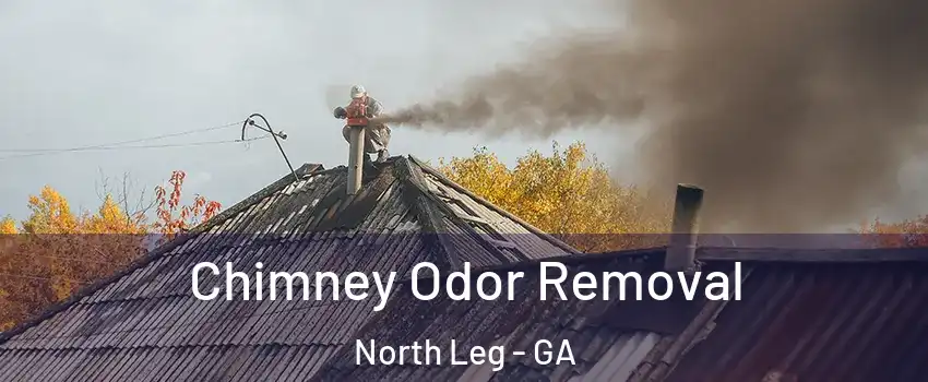 Chimney Odor Removal North Leg - GA