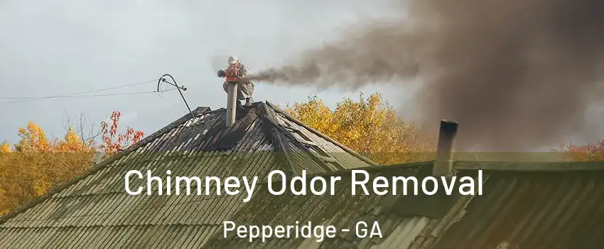 Chimney Odor Removal Pepperidge - GA