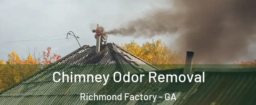 Chimney Odor Removal Richmond Factory - GA