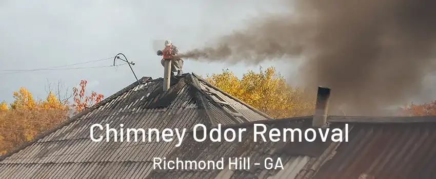 Chimney Odor Removal Richmond Hill - GA