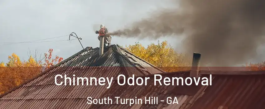Chimney Odor Removal South Turpin Hill - GA