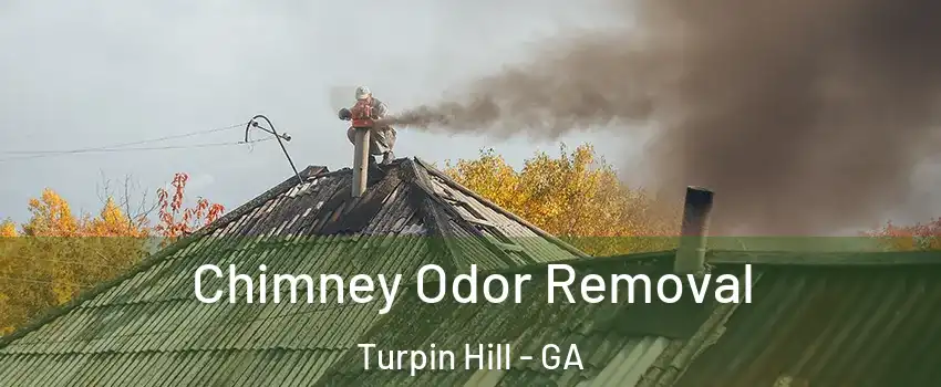 Chimney Odor Removal Turpin Hill - GA