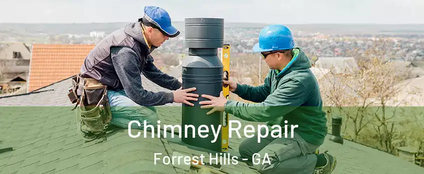 Chimney Repair Forrest Hills - GA