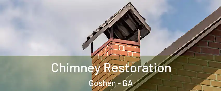 Chimney Restoration Goshen - GA