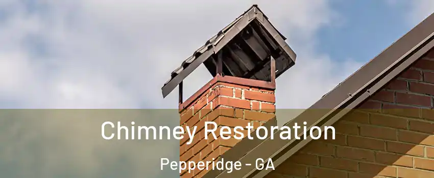 Chimney Restoration Pepperidge - GA